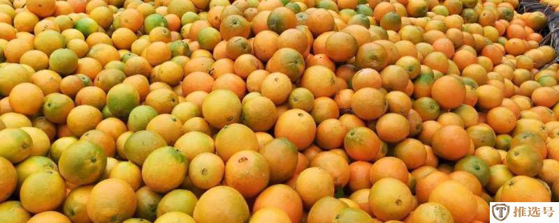 橙子是酸性还是碱性水果（橘子的营养价值及功效）