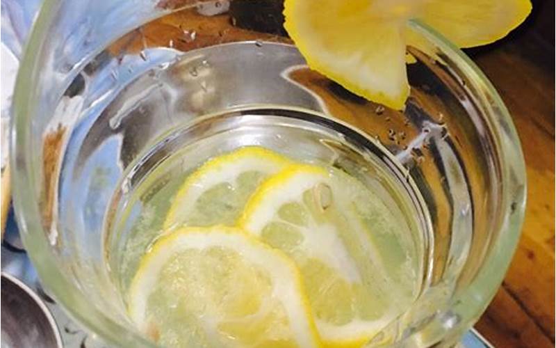 柠檬水怎么做好喝家常做法