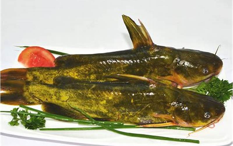 红烧黄花鱼炖几分钟(红烧黄花鱼的做法和配料)