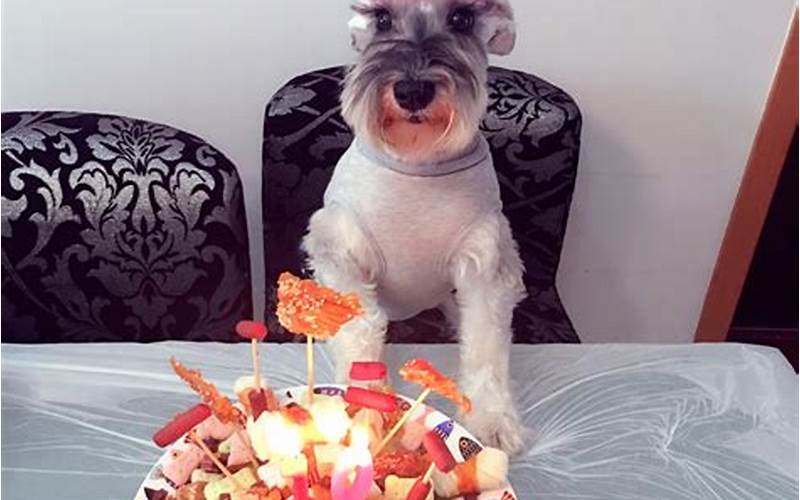 小狗生日蛋糕怎么做